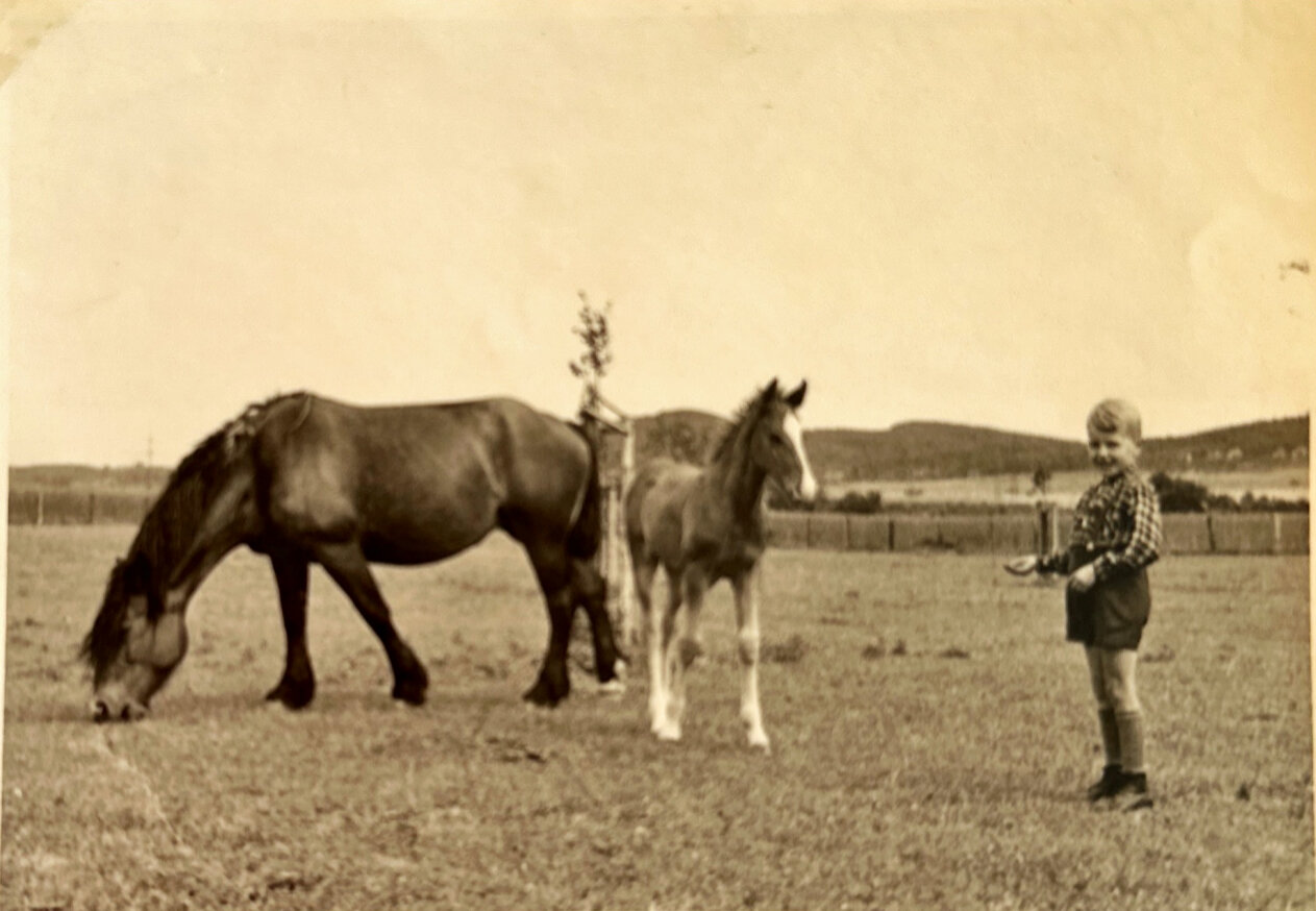 Historisches Foto vom Hof: ein Junge mit Stute und Fohlen auf der Weide